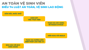 quy chế hoạt động mạng lưới an toàn vệ sinh viên